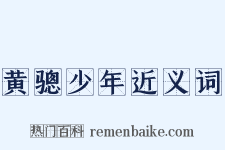 黄骢少年近义词是什么意思的图片